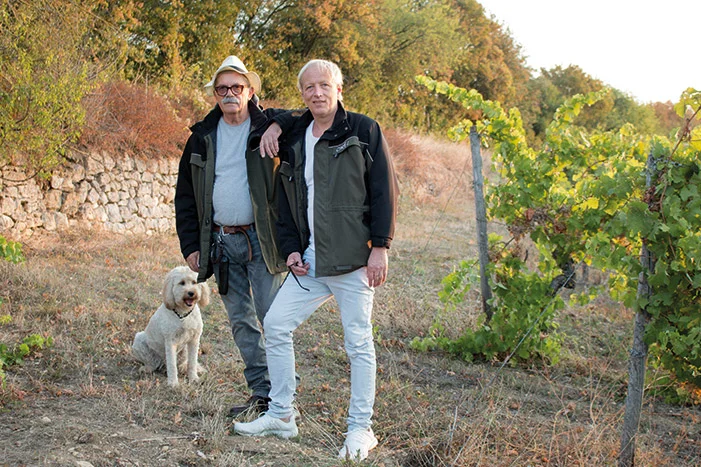 Zwei Personen und ein Hund in einem Weinberg