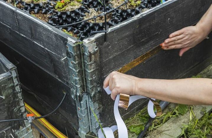 Person bringt Kupferband an Hochbeet an