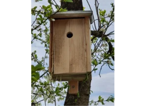 Hölzerner Nistkasten an einem Baum