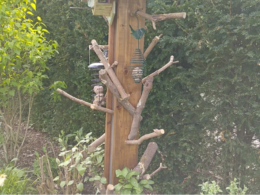 Vogelhaus mit Futter