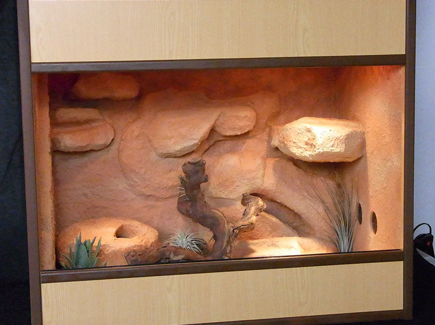 Terrarium mit Felsnachbildung und Pflanzen