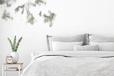 Schlafzimmer mit Schimmel an der Wand