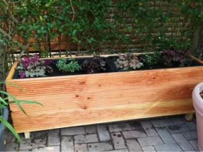 Holzblumenkasten mit Pflanzen