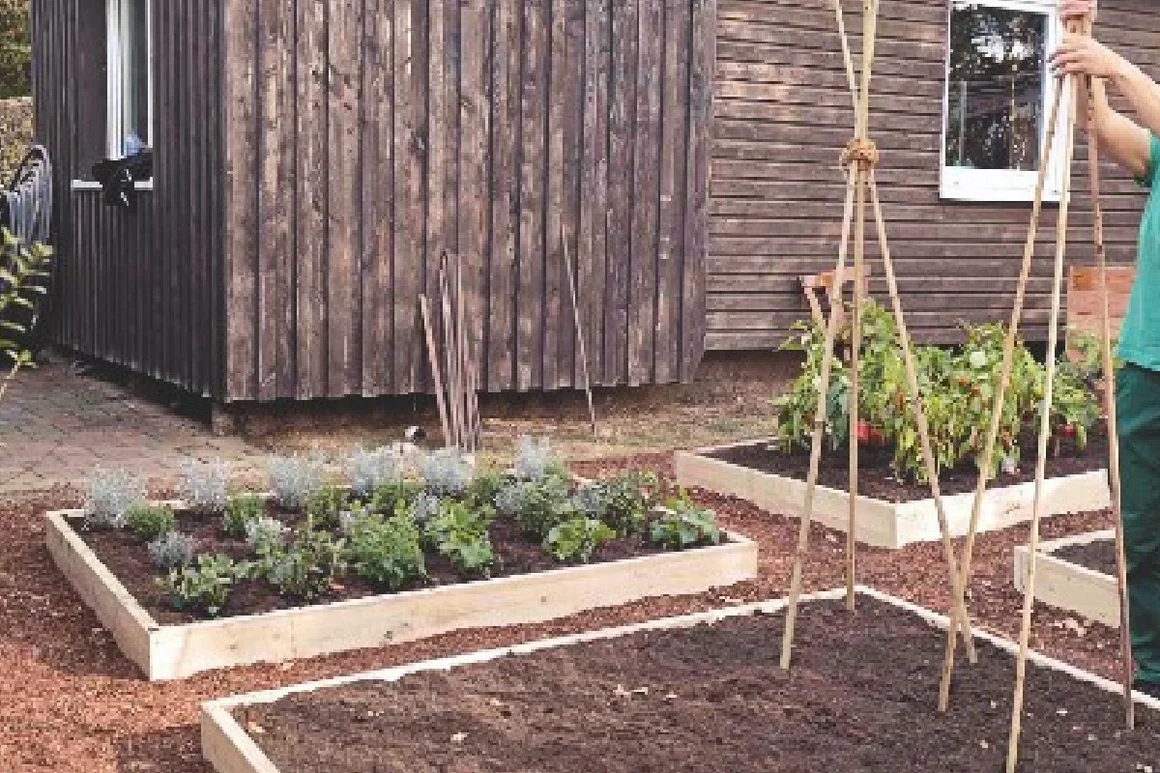 Person stellt Holzstäbe in Gartenbeet