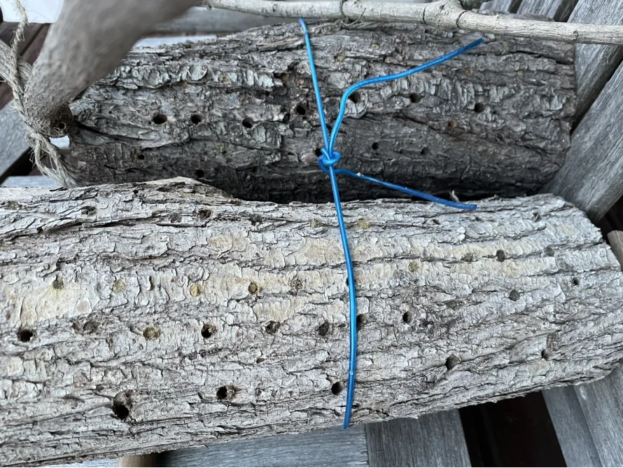 Zwei Holzstücke mit Löchern