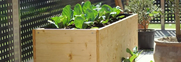 Ein Hochbeet auf einem Balkon