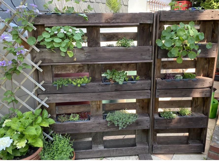Vertikaler Garten mit Paletten