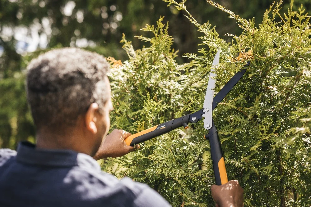 Person schneidet Hecke mit Heckenschere