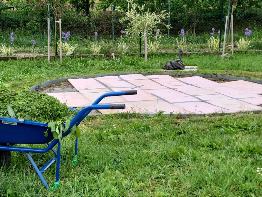 Eine blaue Schubkarre mit Rasenschnitt steht im Garten.