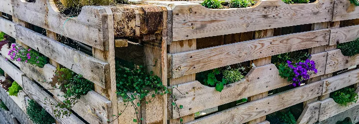 Vertikaler Garten aus Paletten