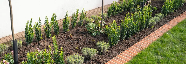 Frisch angelegtes Gartenbeet mit Rasenkante