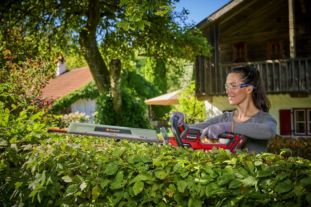 Person schneidet Hecke mit Heckenschere