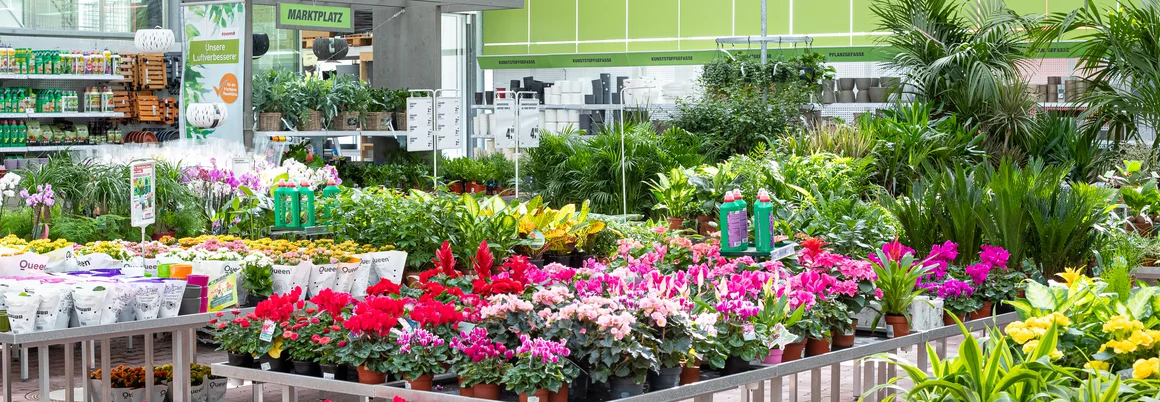 Verkaufsbereich in einem Gartencenter mit vielen verschiedenen Pflanzen