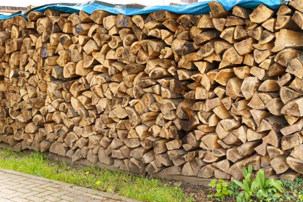 Ein großer Stapel Brennholz ist mit einer blauen Plane abgedeckt.
