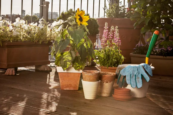 Blumen und Gartengeräte auf Balkon