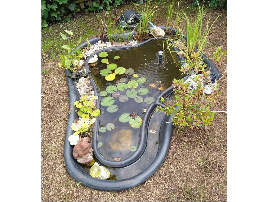 Kleiner Teich mit Seerosen und Springbrunnen