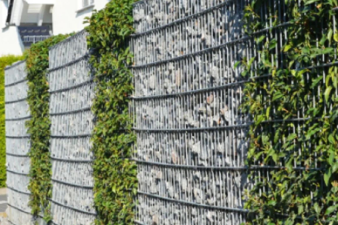 Gabionenzaun mit grünen Pflanzen