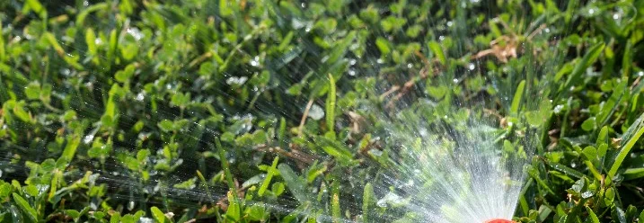 Sprinkler bewässert Rasen