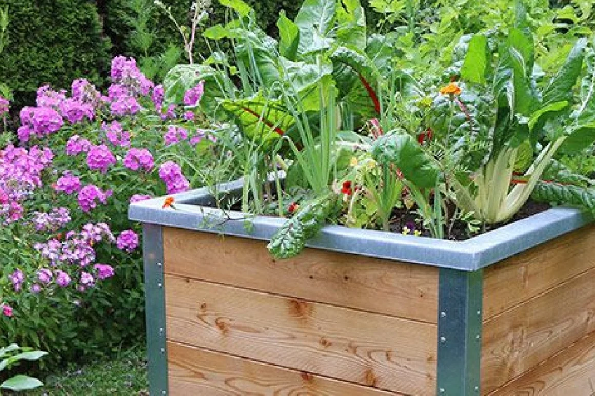 Holz-Hochbeet mit verschiedenen Gemüsesorten