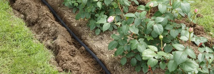 Schwarzer Schlauch in Gartenerde